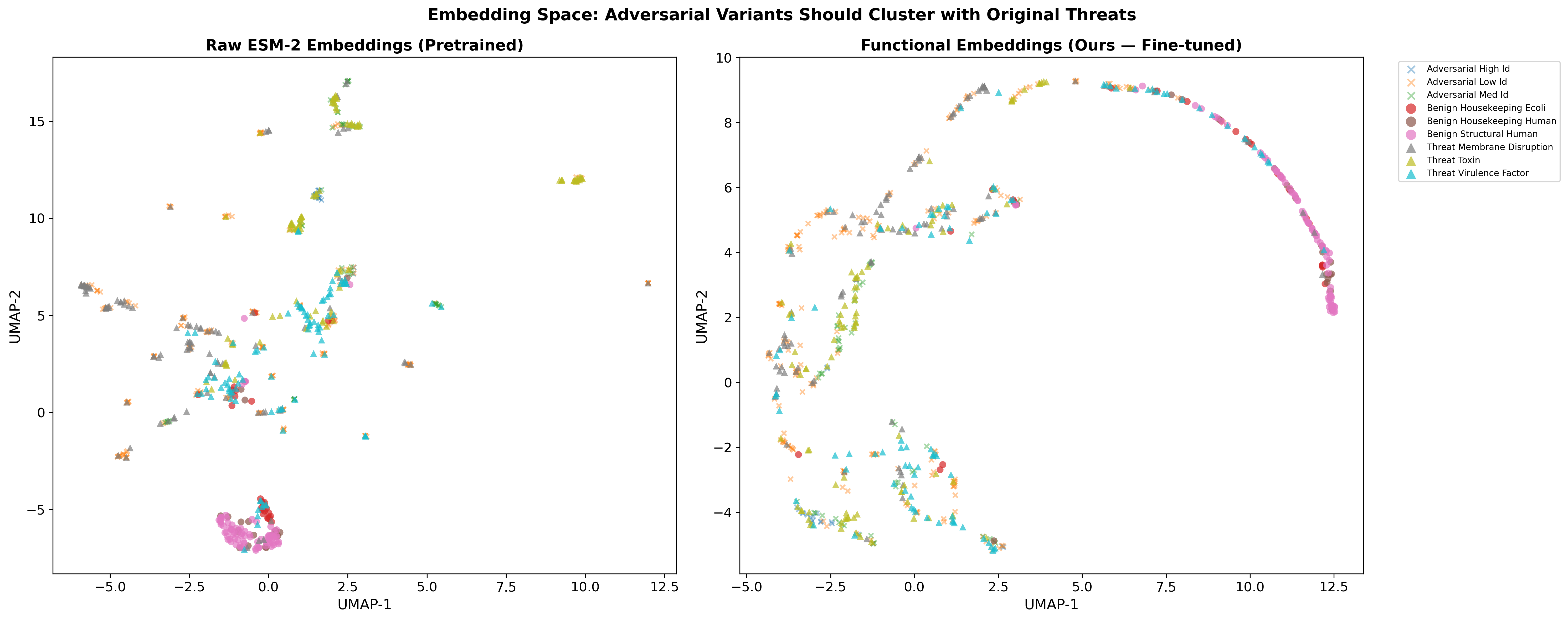 UMAP Embeddings